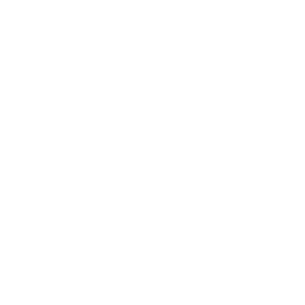 C.A.I.H.